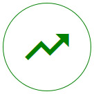 Ikona