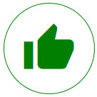 Ikona